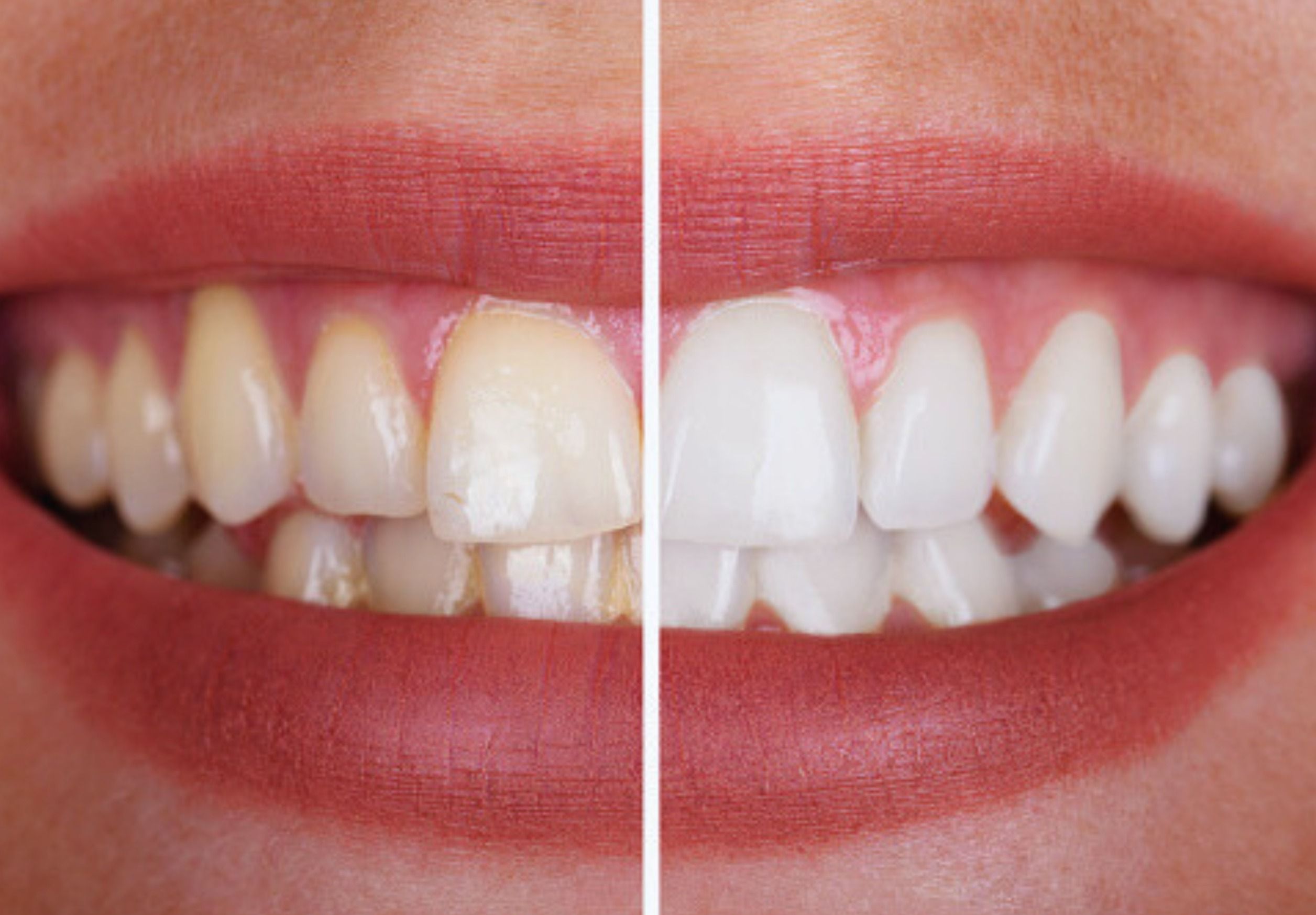 WhatsApp Image 2023 11 23 at 18.10.47